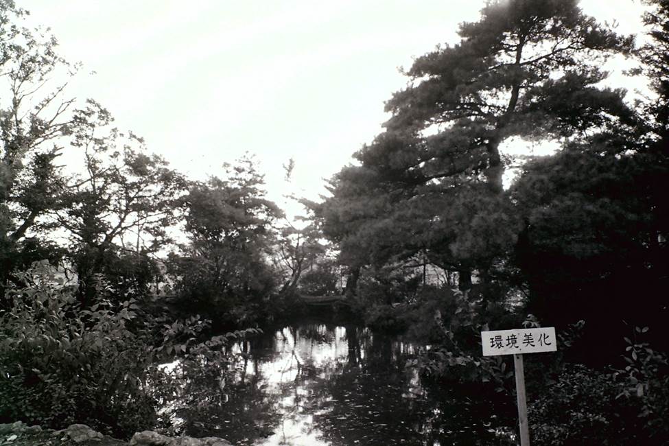 「環境美化」