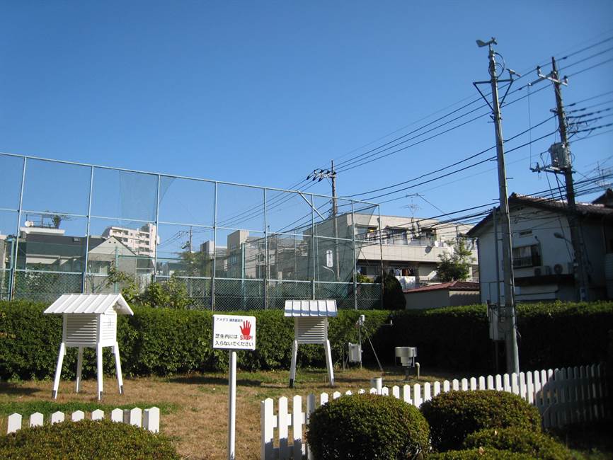 東門わきの露場