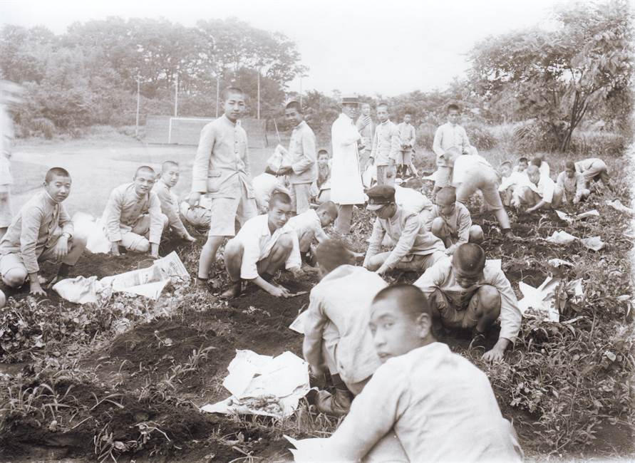 和田八重造講師の農園