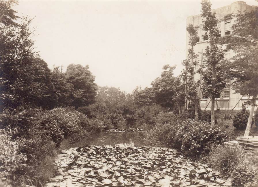 1920年代の濯川