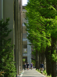 九十九年目の武蔵高等学校