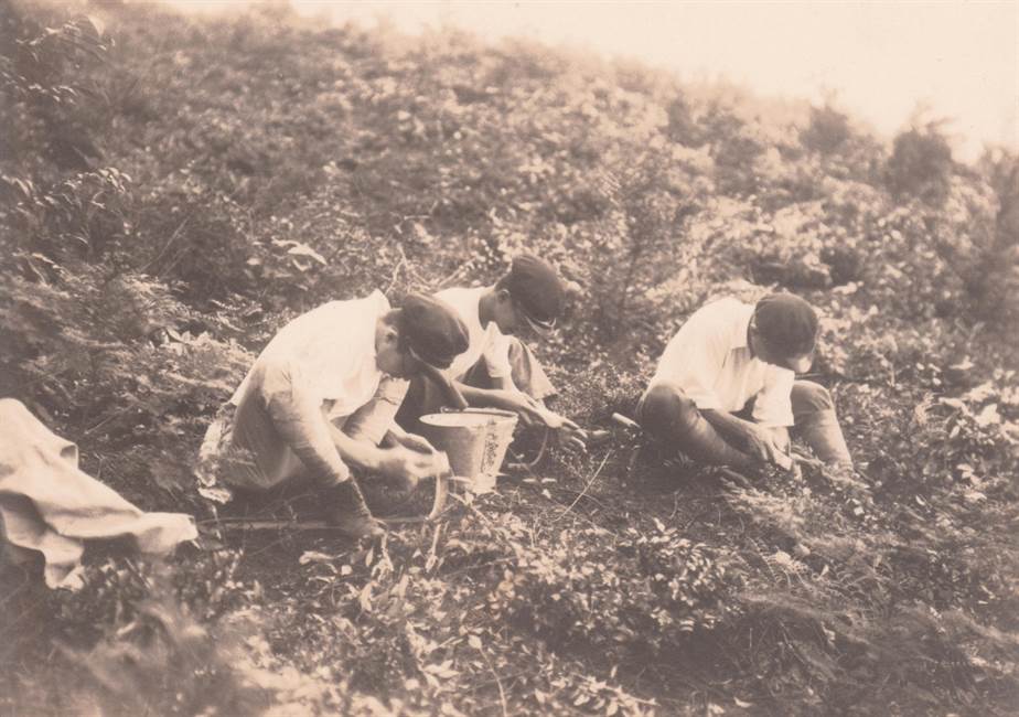 学校山林の手入れ