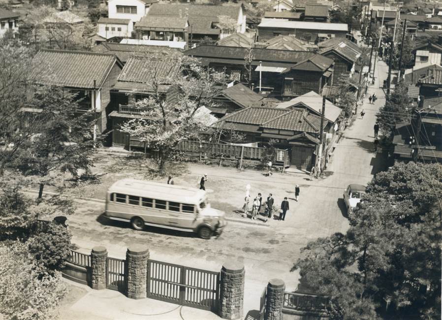 屋上から見た千川通り