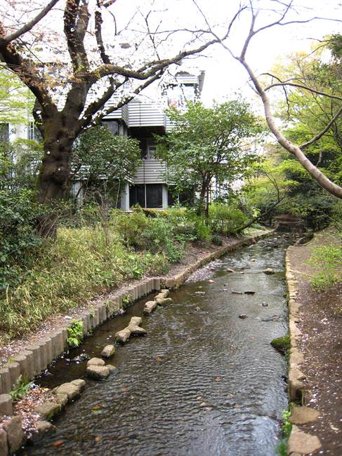 濯川と大学九号館