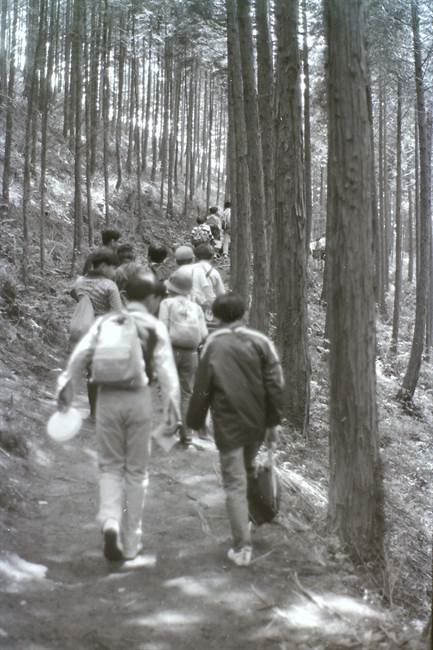 学校山林への遠足