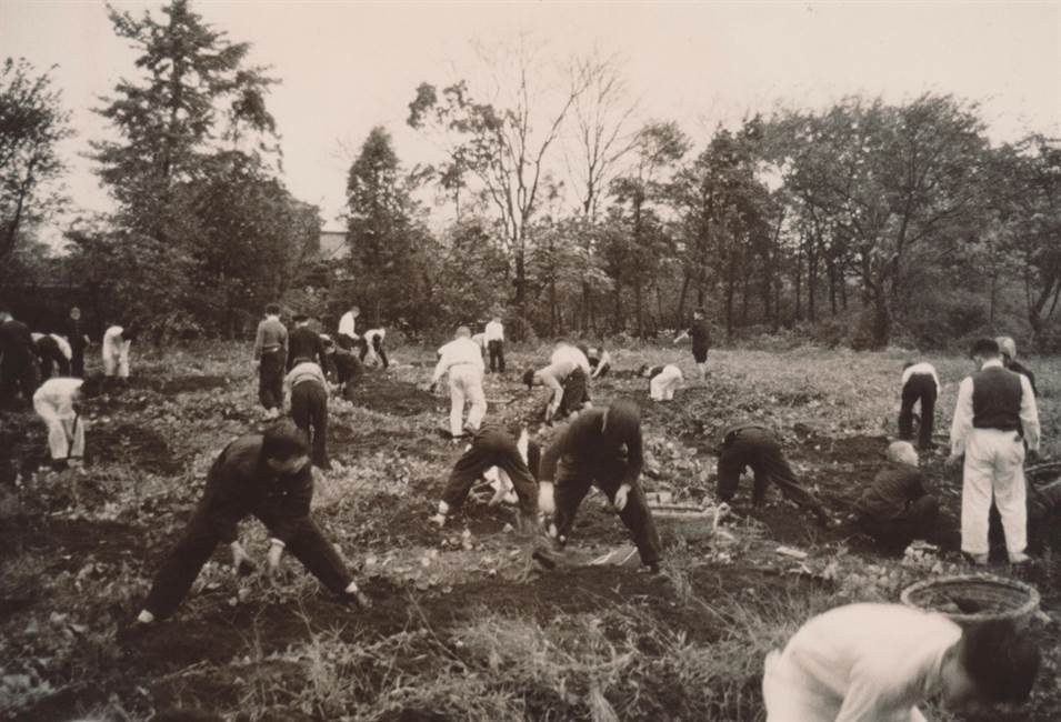 和田八重造講師の農園