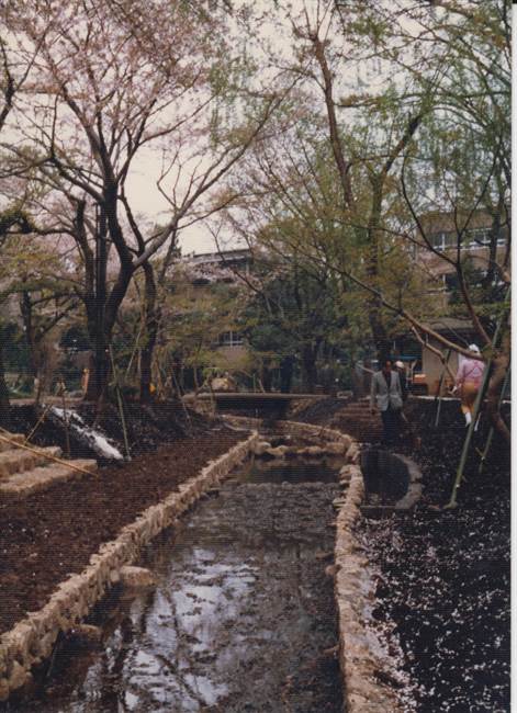 遊歩道の整備