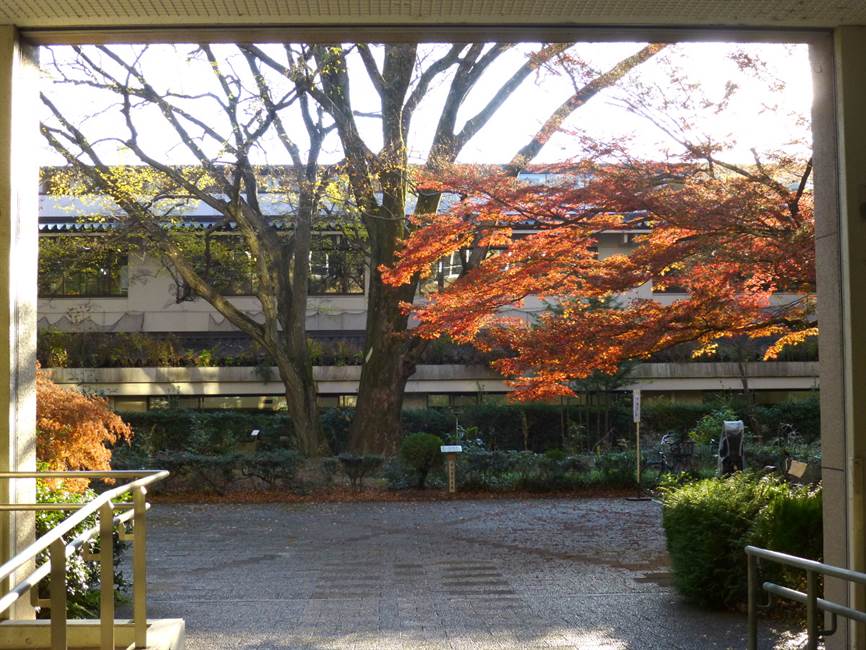 三号館正面からみた図書館