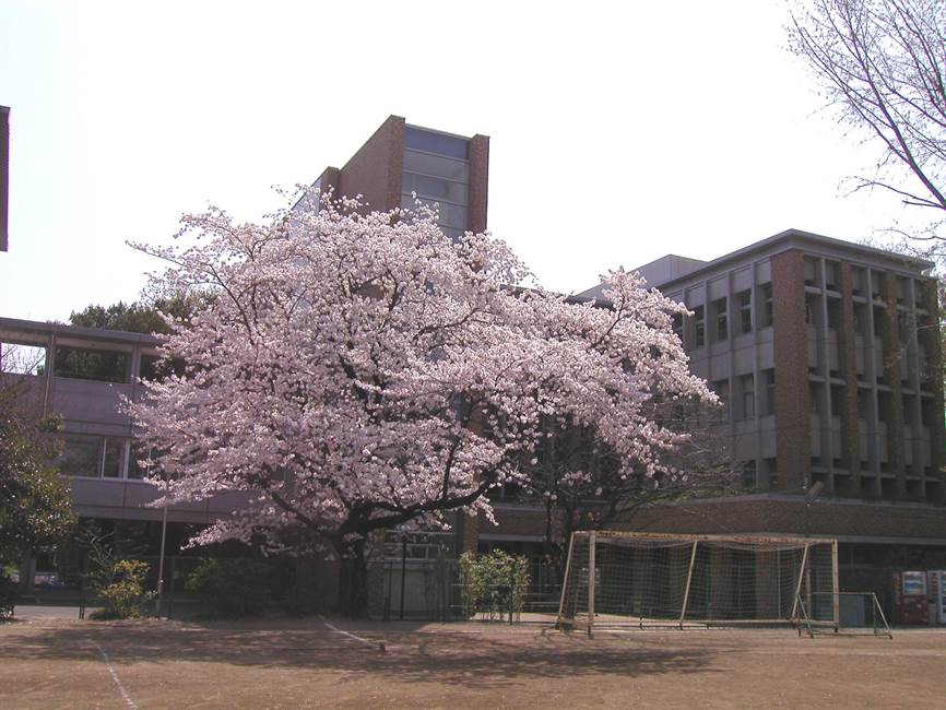 高中校舎図書館棟