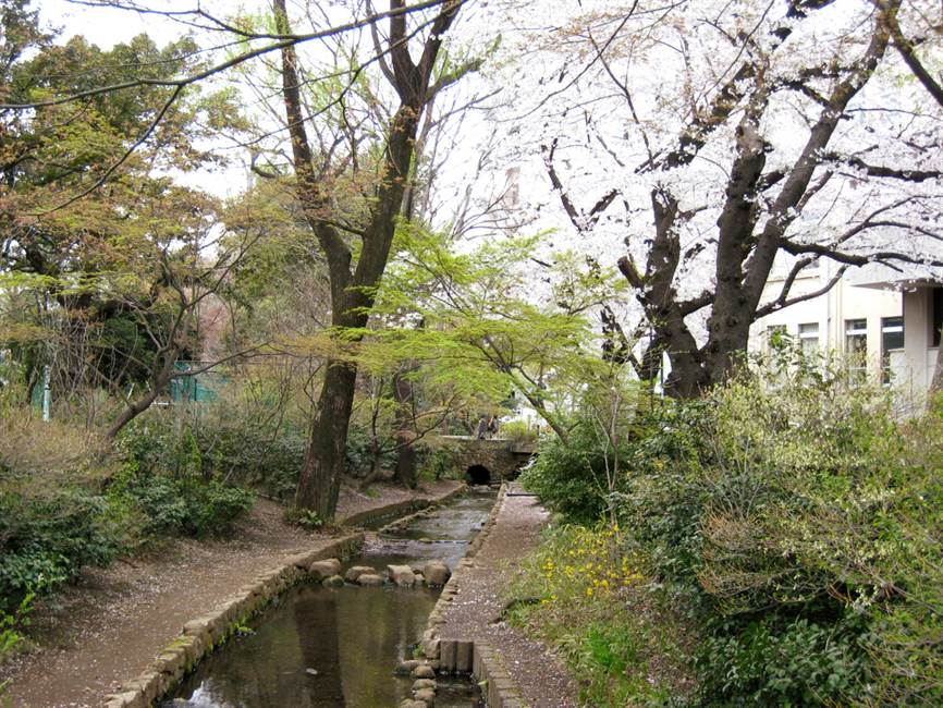 濯川と大学三号館