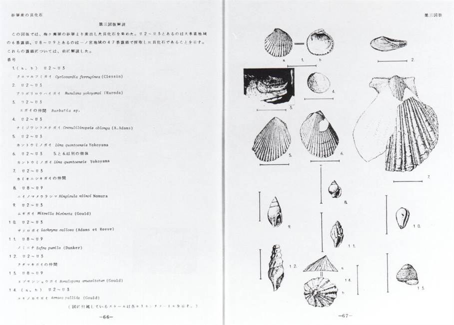 「山川賞」を受賞した地学部