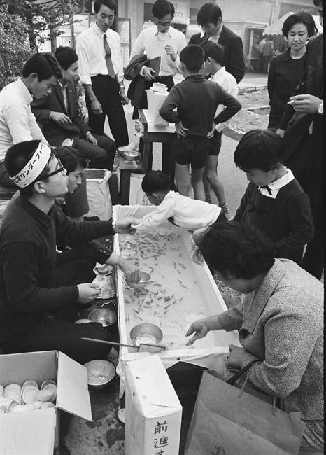 金魚すくい