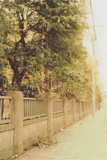 千川通り沿いの塀