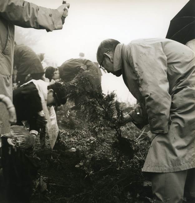 1960年の学校山林植樹