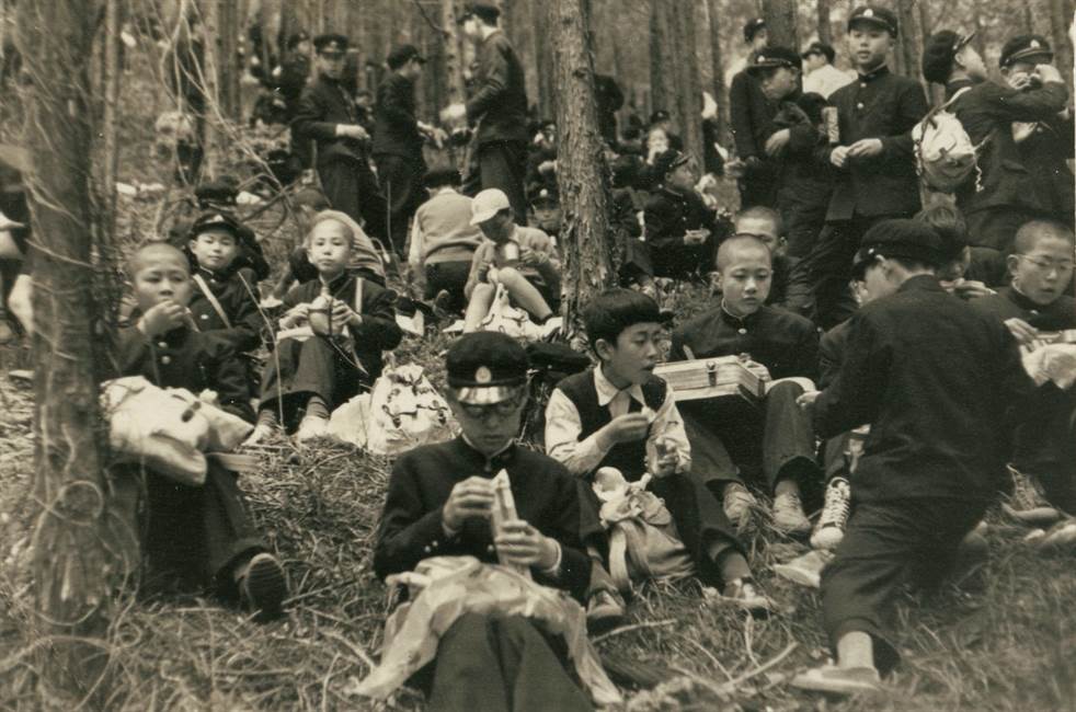 再開された学校山林