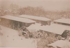雪の慎寮寮