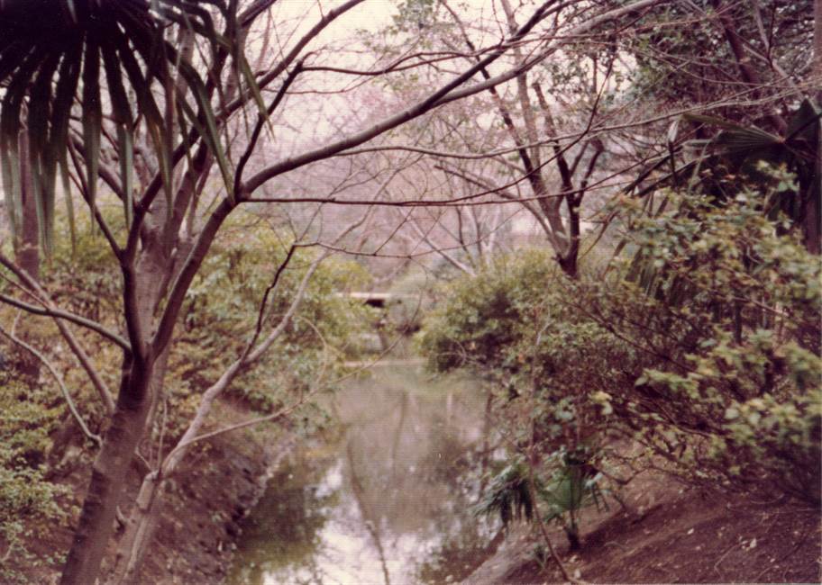 1979年の濯川