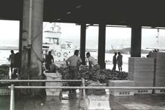 1979年の勝浦漁港
