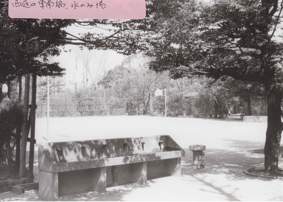 1968年の西庭