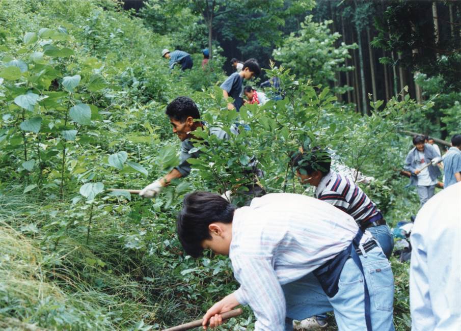 学校山林の下草狩り