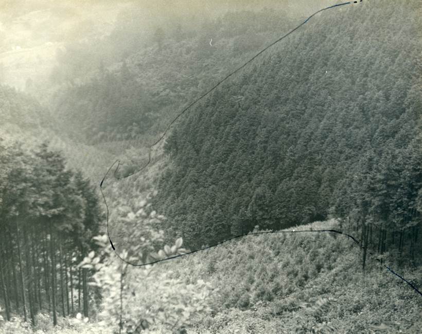 学校山林全景