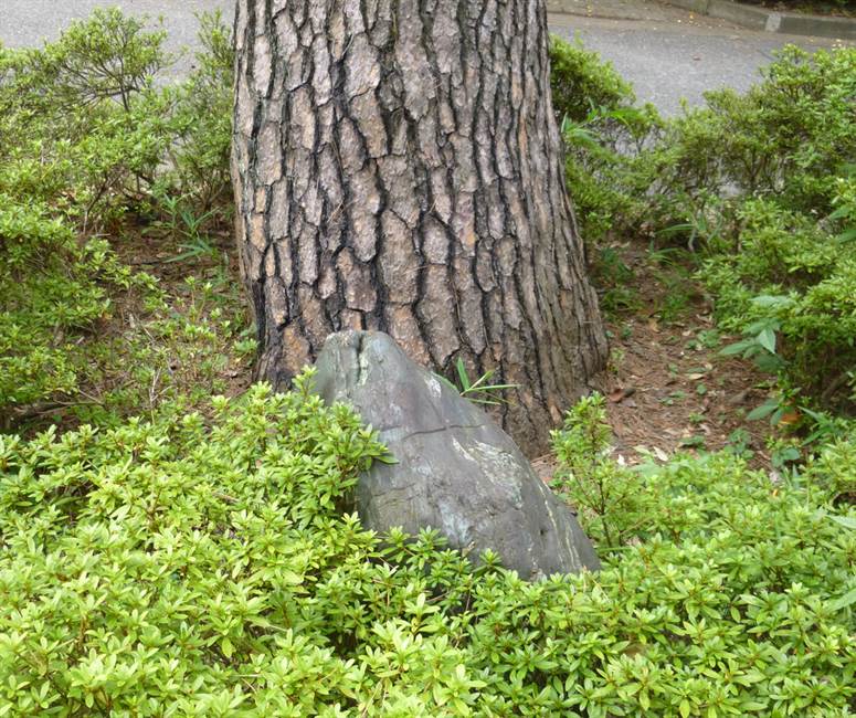 三号館正面入口の北極標