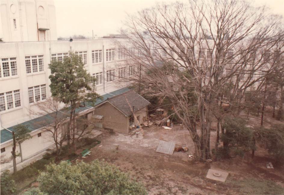 1960年代の中庭と大欅