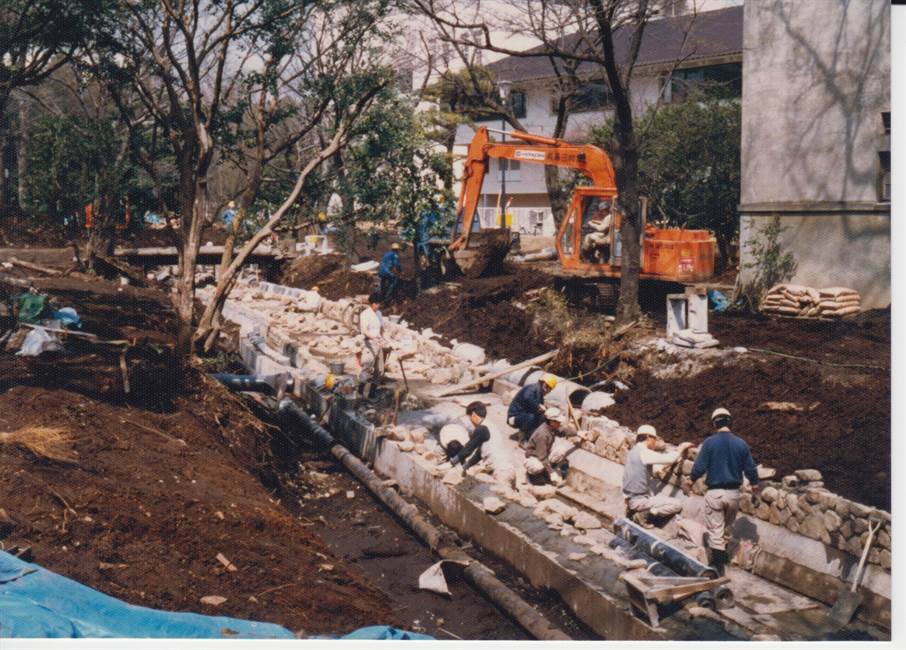 護岸の石積み