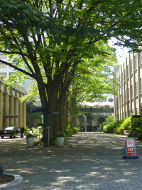現在の武蔵大学