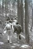 学校山林への遠足