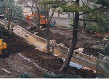 川辺の整備