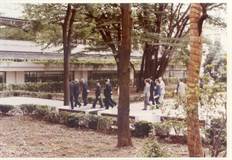 来賓と大欅