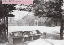 1968年の西庭