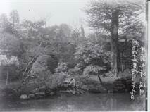 庭園