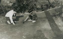 小動物をつつく