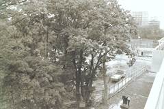 工事現場の土管で