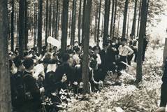 学校山林への遠足
